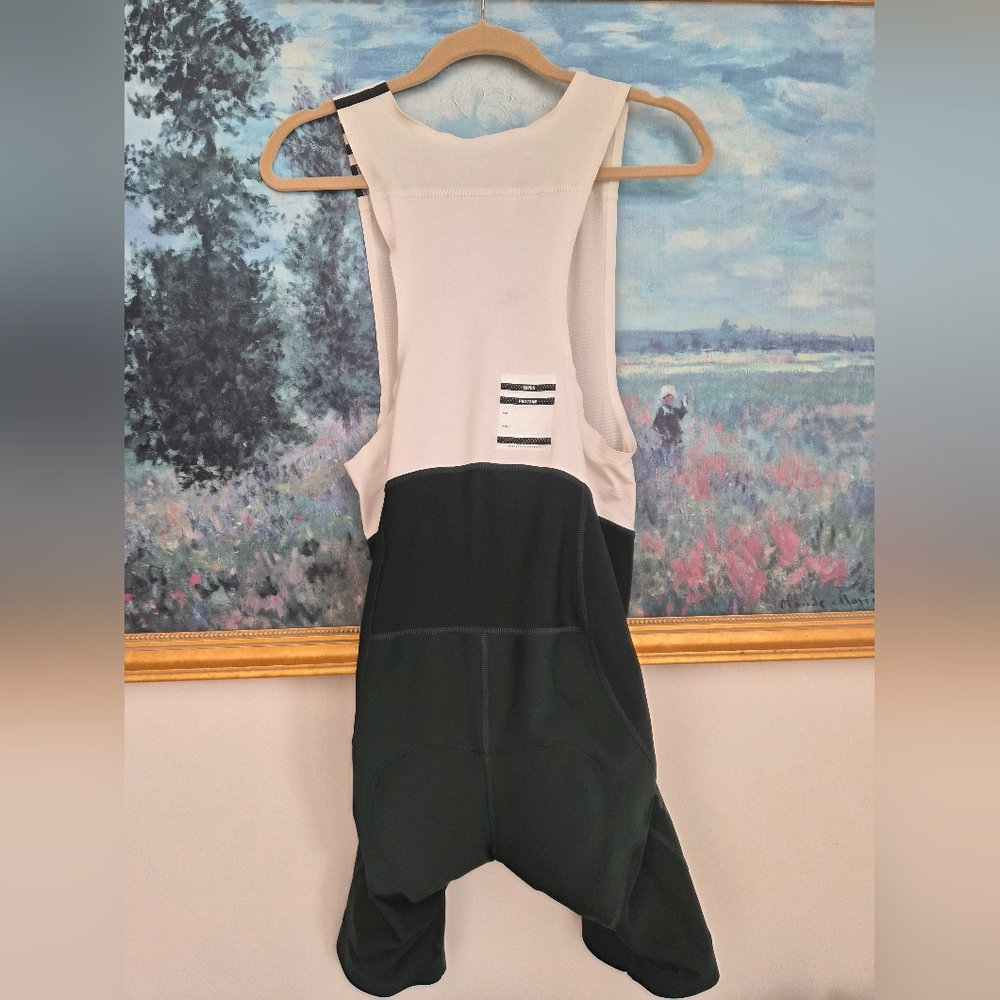 Pro Team Winter Bib Shorts - Picture 5 of 10